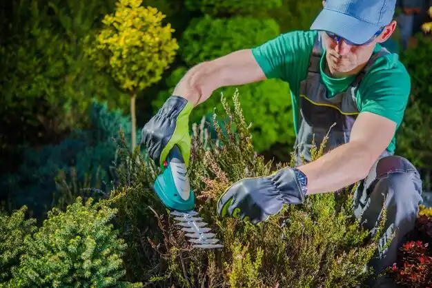 landscaping services Country Club